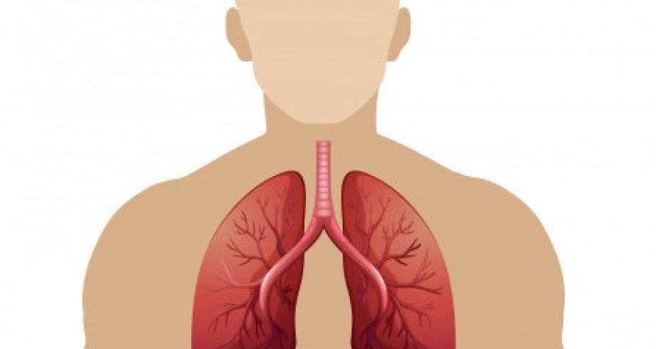 Respirador criado na USP é aprovado em testes com humanos; aparelho é feito em 2 horas e 15 vezes mais barato.