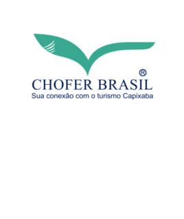 Chofer Brasil